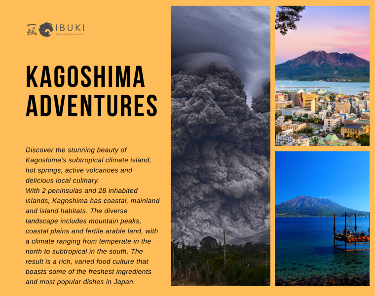 Kagoshima Menu 1